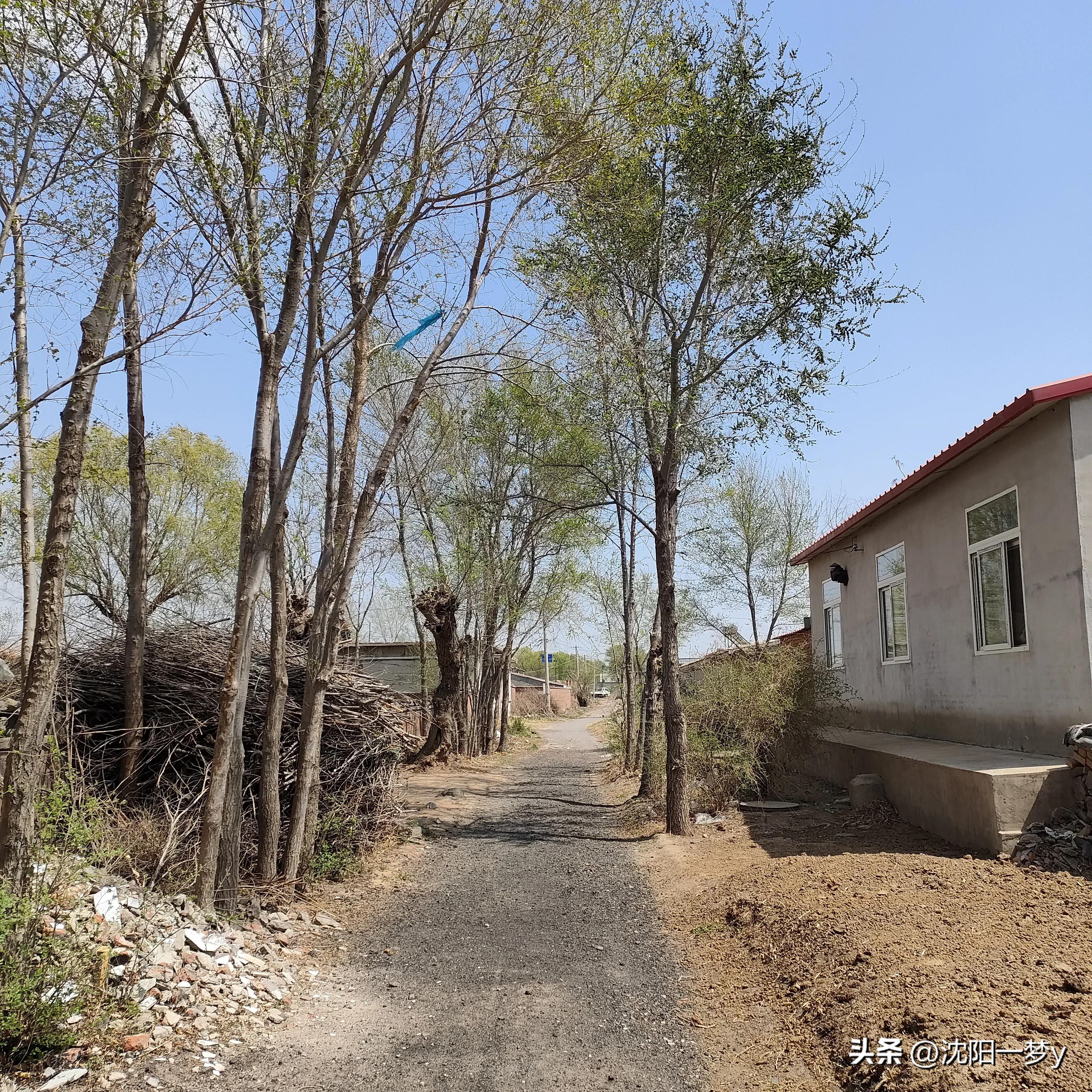 我的婚外恋最新全部章节在线阅读,我的婚外情人193集