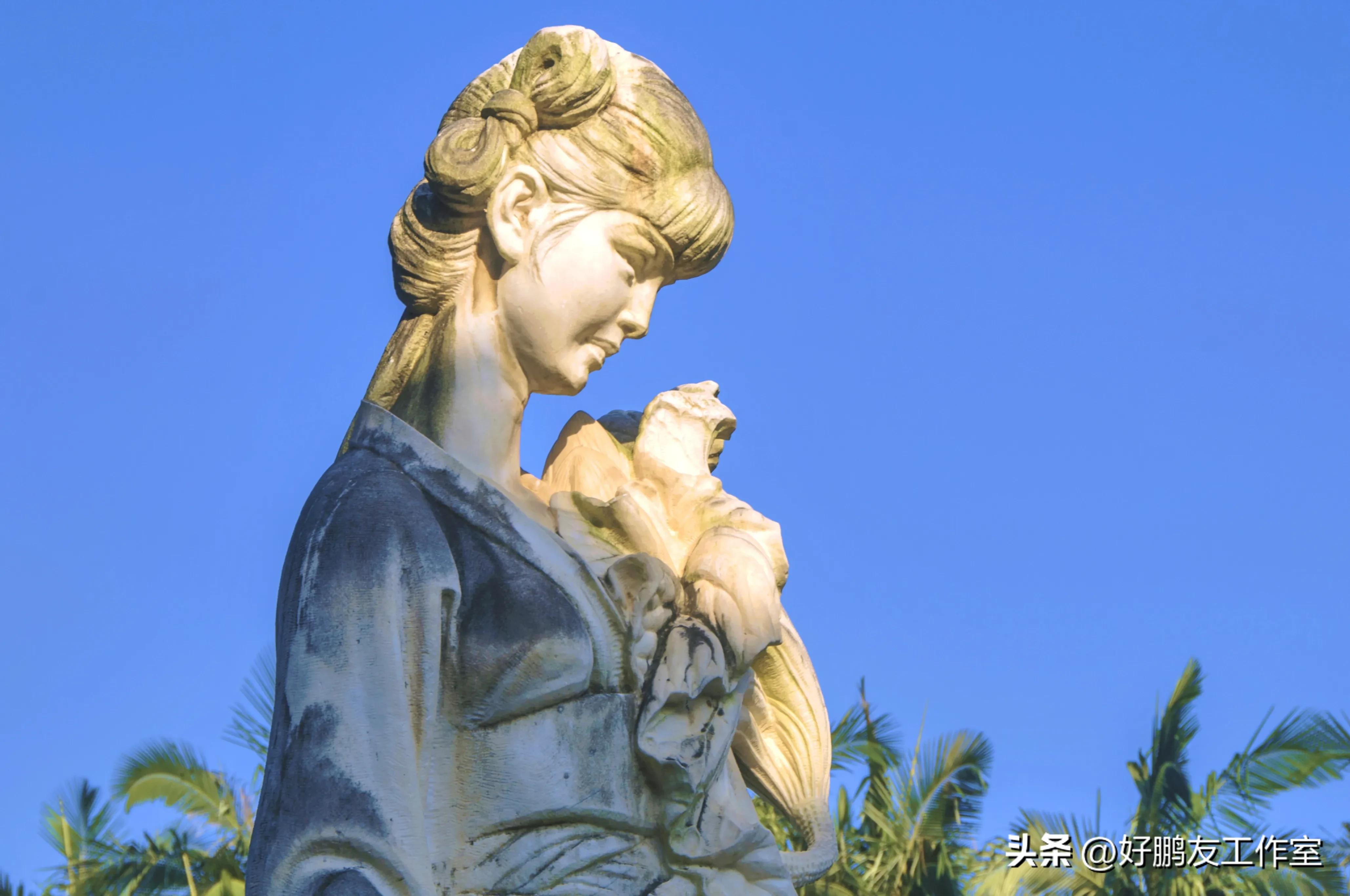 厦门莲花公园图片大全,厦门莲花公园攻略