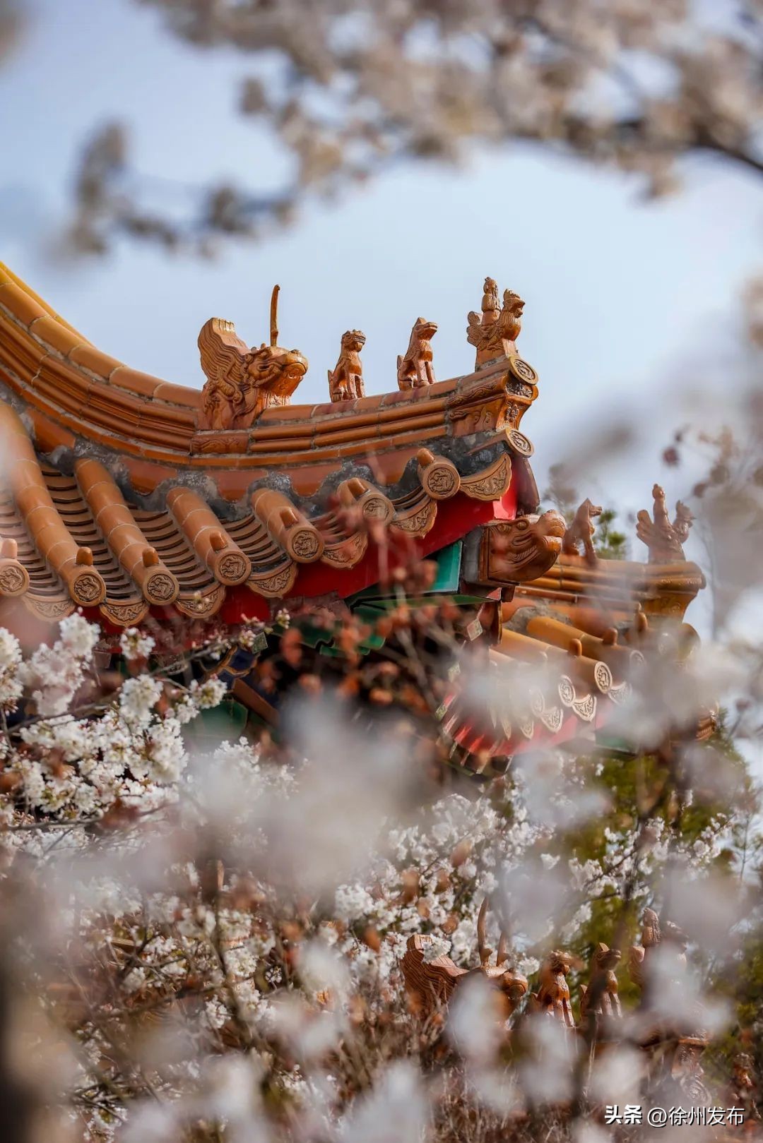 非凡十年|推开窗户见花园，走出家门逛公园