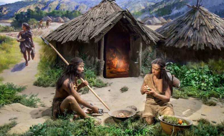 锯竹取火钻木取火擦木取火,石器时代取物