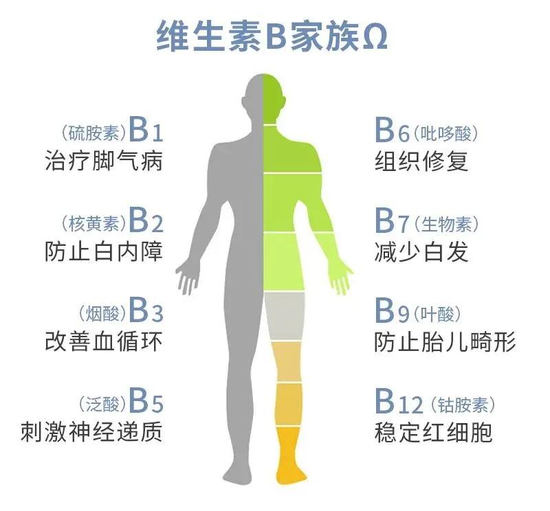 维生素b2横扫一切疾病是真的吗,维生素b族大赏