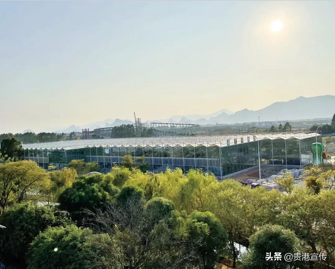 春节贵港一日游最佳攻略,春节贵港去哪里玩