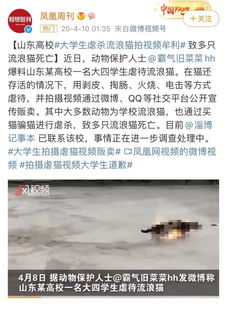 热搜上的网红，早该进监狱了