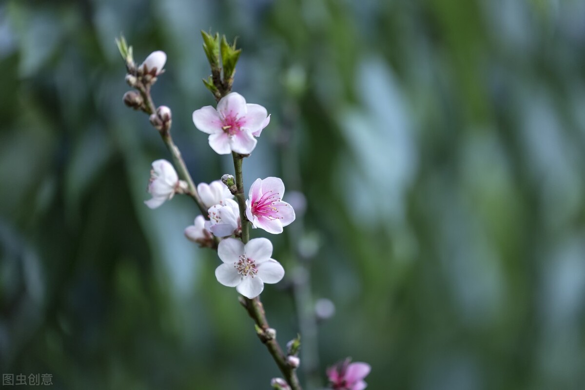 学生常写错别字老师应该怎么鼓励,如何解决学生写错别字