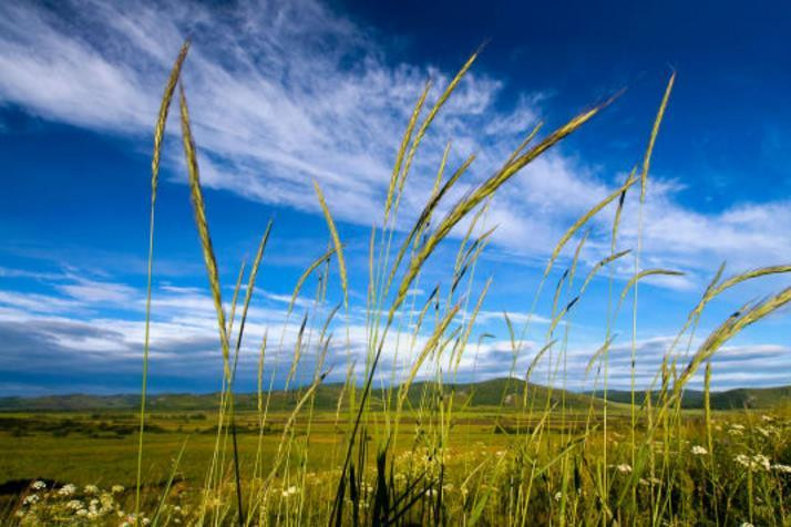 全国气候最好的草原,草原最美的天气