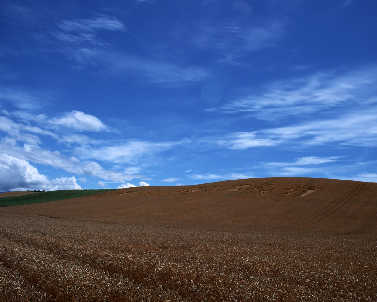 蓝天白云草地壁纸图片,蓝天白云草地风景壁纸高清唯美