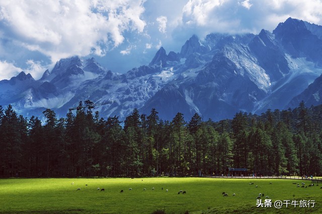 云南必去的4个景点,云南网红打卡景点