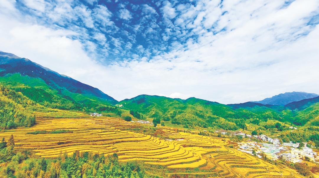 韶关秋天哪里有美景,韶关秋天美景