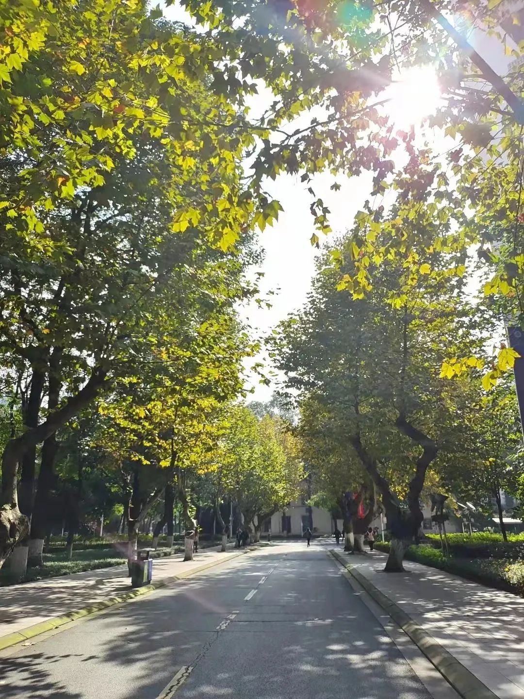 美美美，在阳光灿烂的成电遇见你~