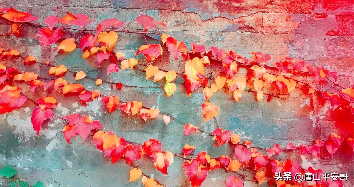 瀹犵埍鍚堝敱灏忓皬骞寸邯,瀹犵埍灏忓皬