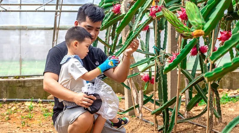 国庆来大连玩,国庆去哪里玩大连