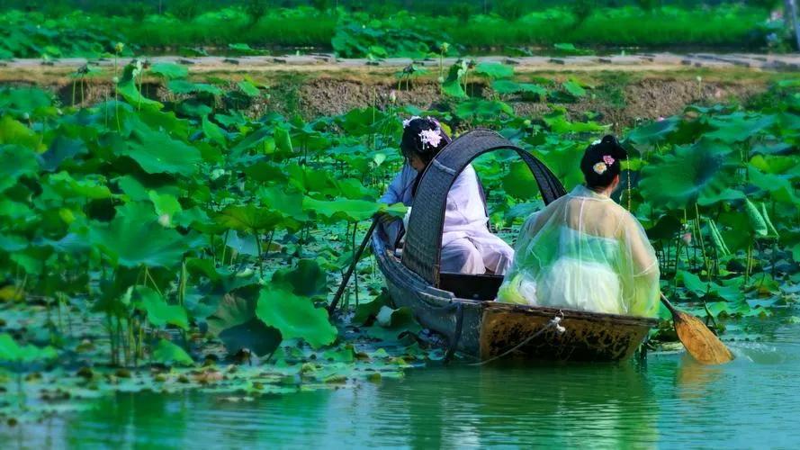 877.《一年鉴秀色，橙黄橘绿时》文/三木秉凤编辑制作/梦锁清秋