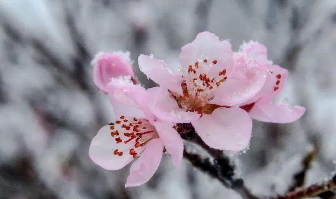 铁道兵战友诗30首,铁道兵退伍战友聚会诗