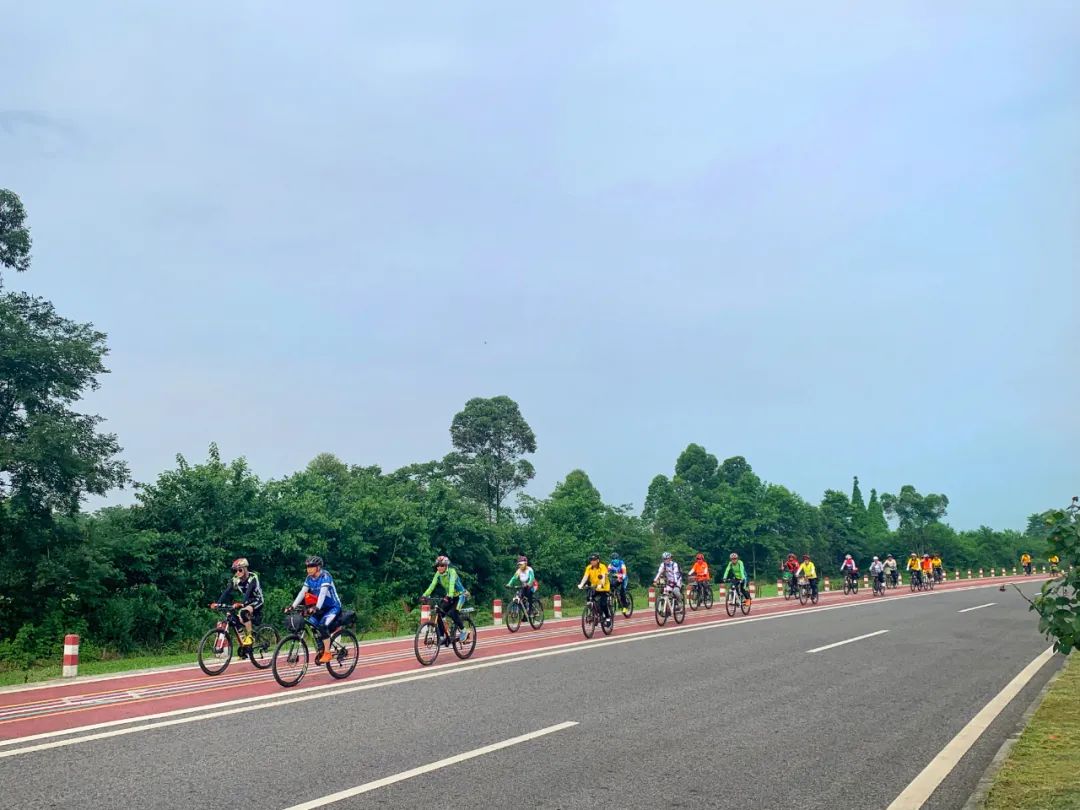 绵竹风景最好的地方在哪 (赏花一日游最佳去处绵竹)