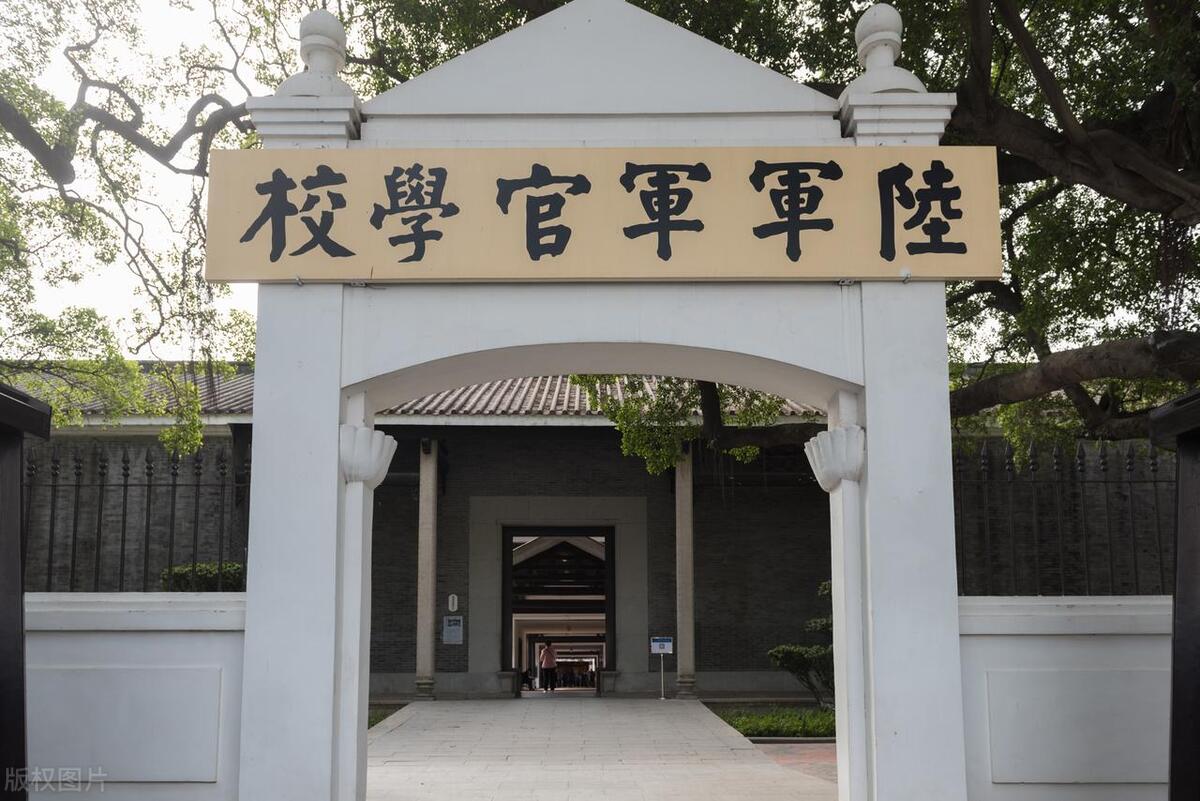 中国传统武术的发展现状趋势,中国传统武术在实战中是否有效