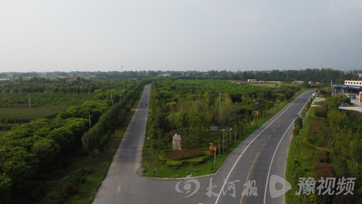 杞县国土绿化政策,开封杞县绿化改造