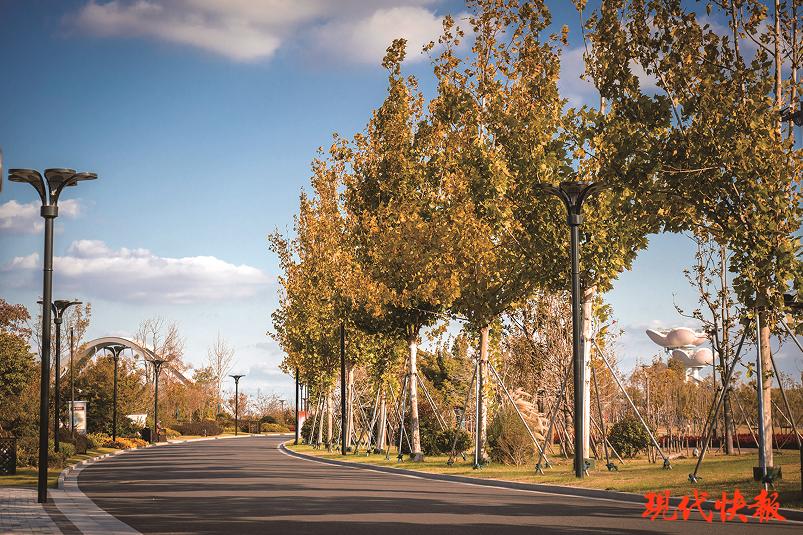 盐南高新开发区,盐城市盐南高新区产业规划