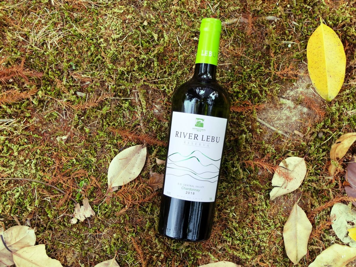 番茄炸大虾怎么炸酥脆好吃,番茄酱炸虾的做法大全