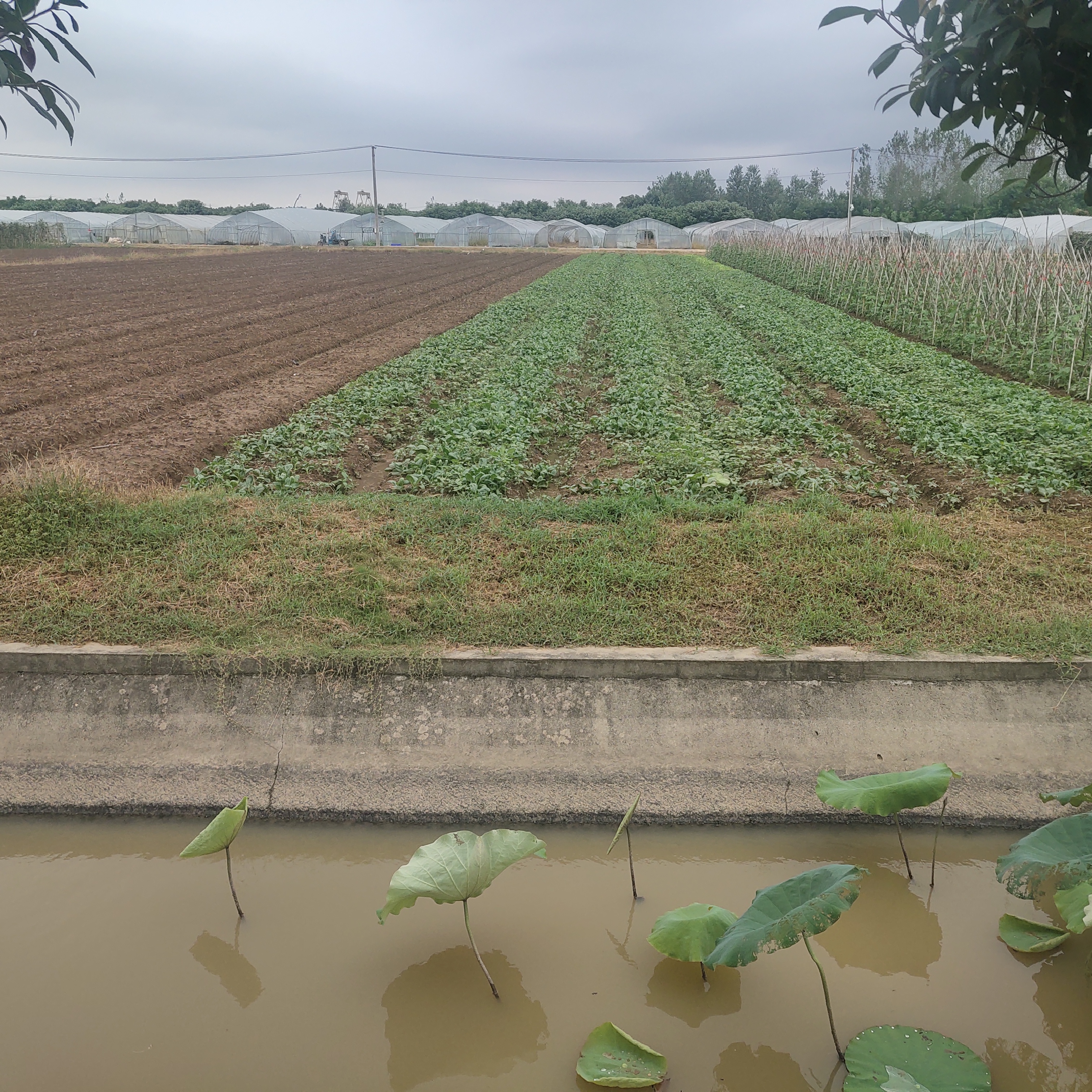 鏂版床鍗庡厜鐢靛姏鏈夐檺鍏徃,鏂版床鍗庡厜鐢靛姏鏈夐檺璐d换鍏徃