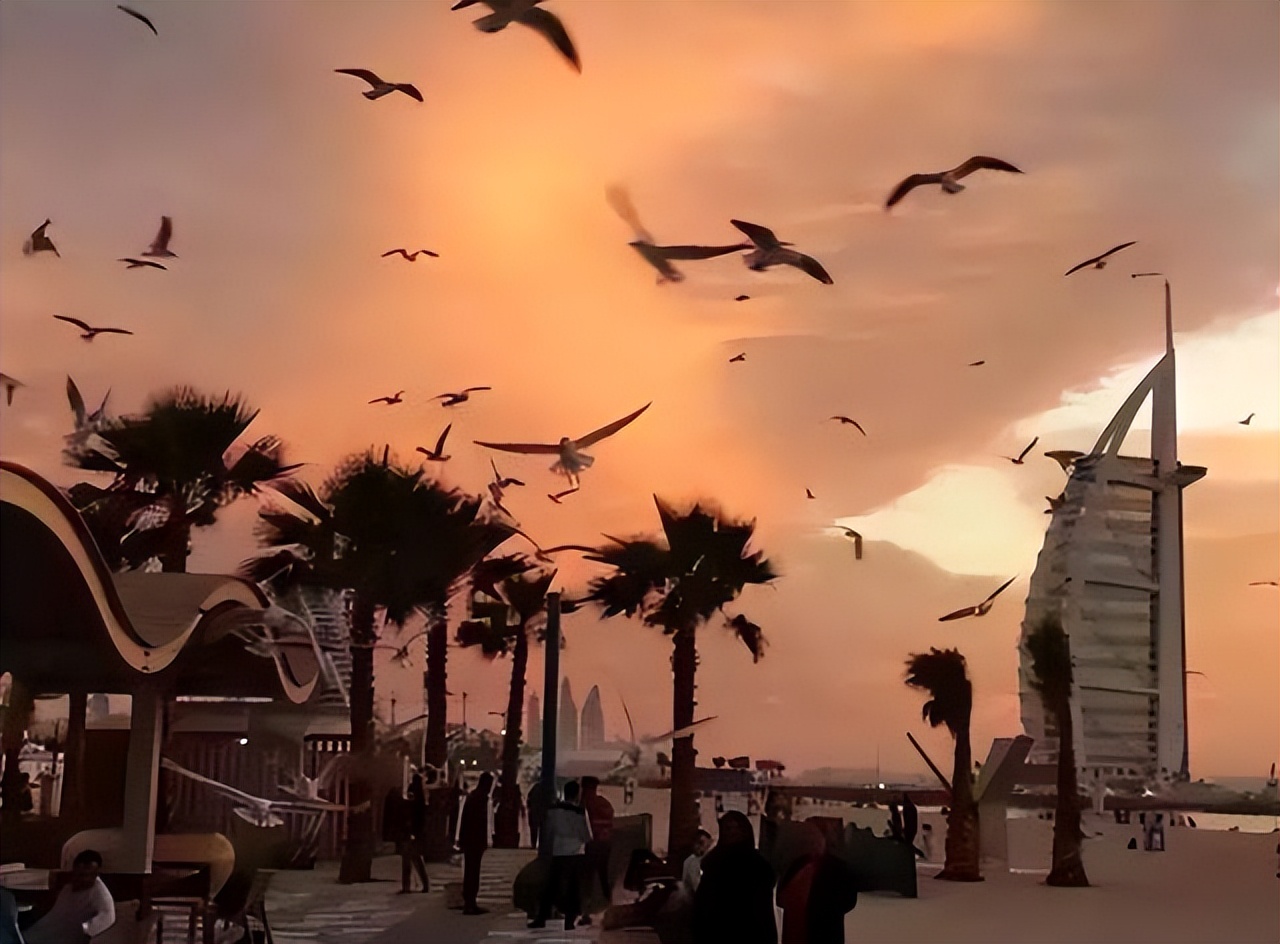 在迪拜打拼8年,在迪拜奋斗的河南人