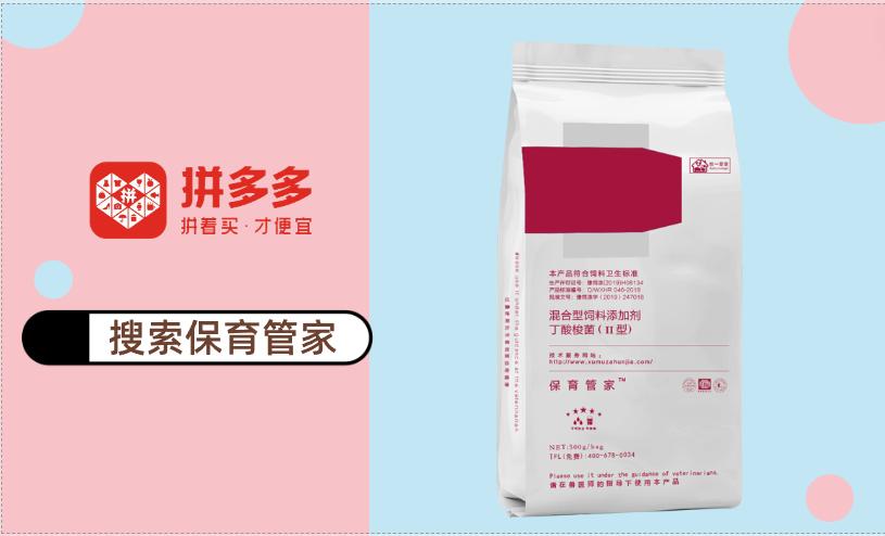 仔猪水肿不用愁简单方法轻松搞定,仔猪水肿病是什么引起的