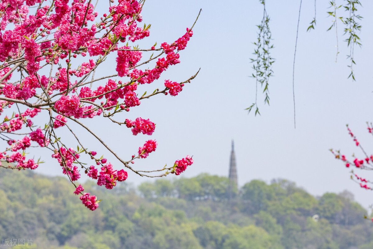 第一次逛西湖攻略,去西湖玩一定要知道的几件事