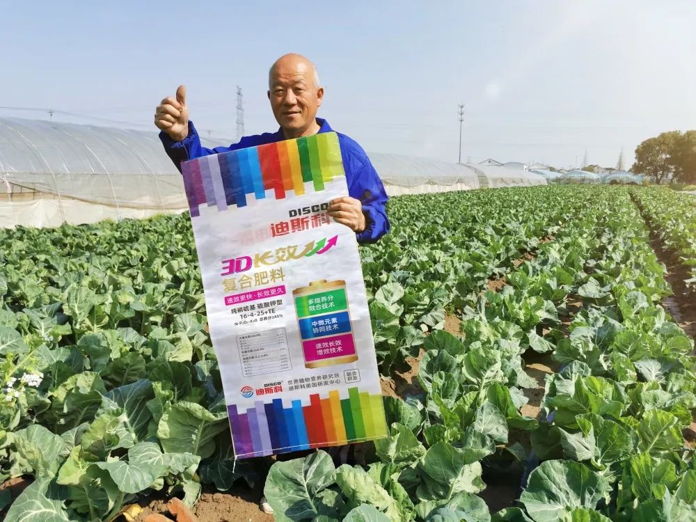 好产品、好服务、好口碑，迪斯科让大家都有好收益