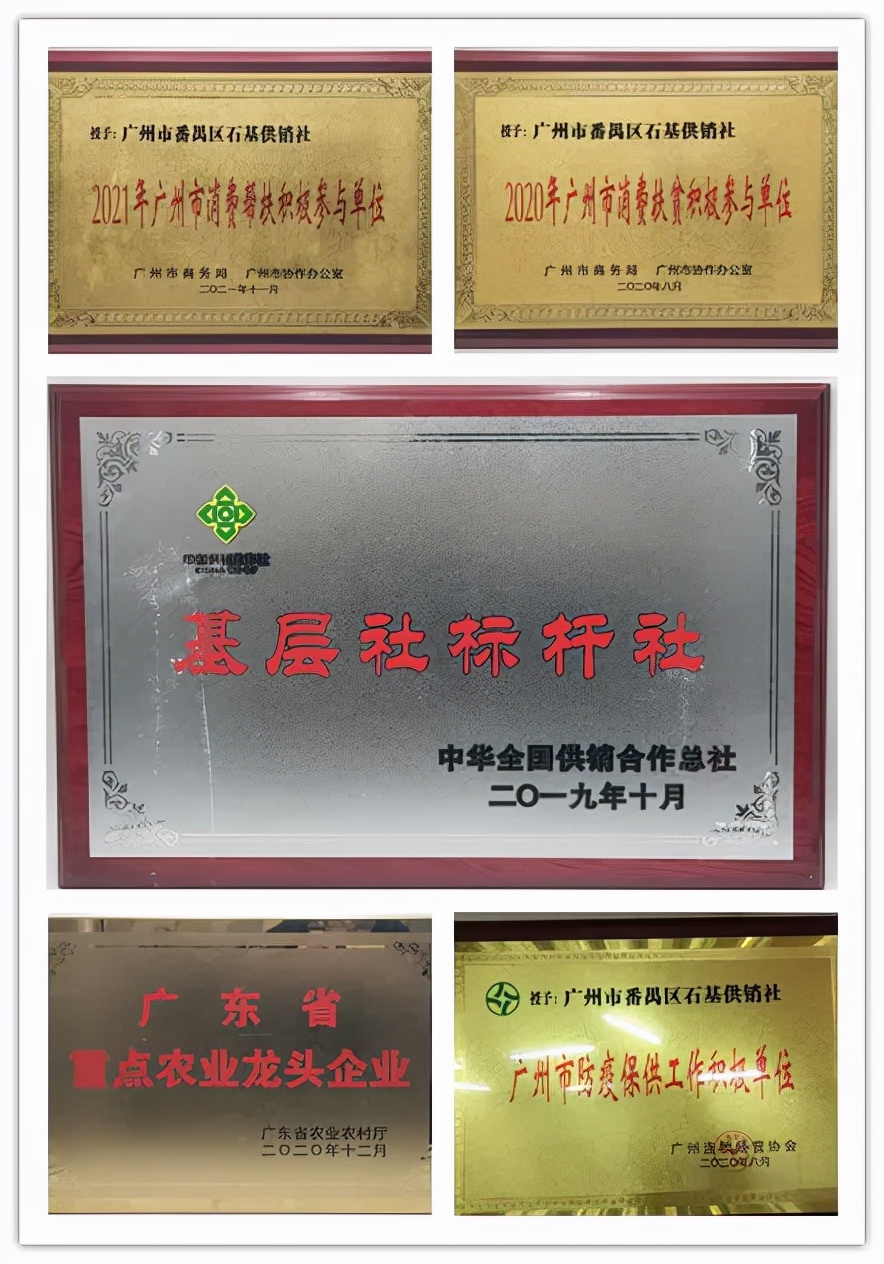 番禺｜石基供销社黎钊荣：新时代供销人的风采