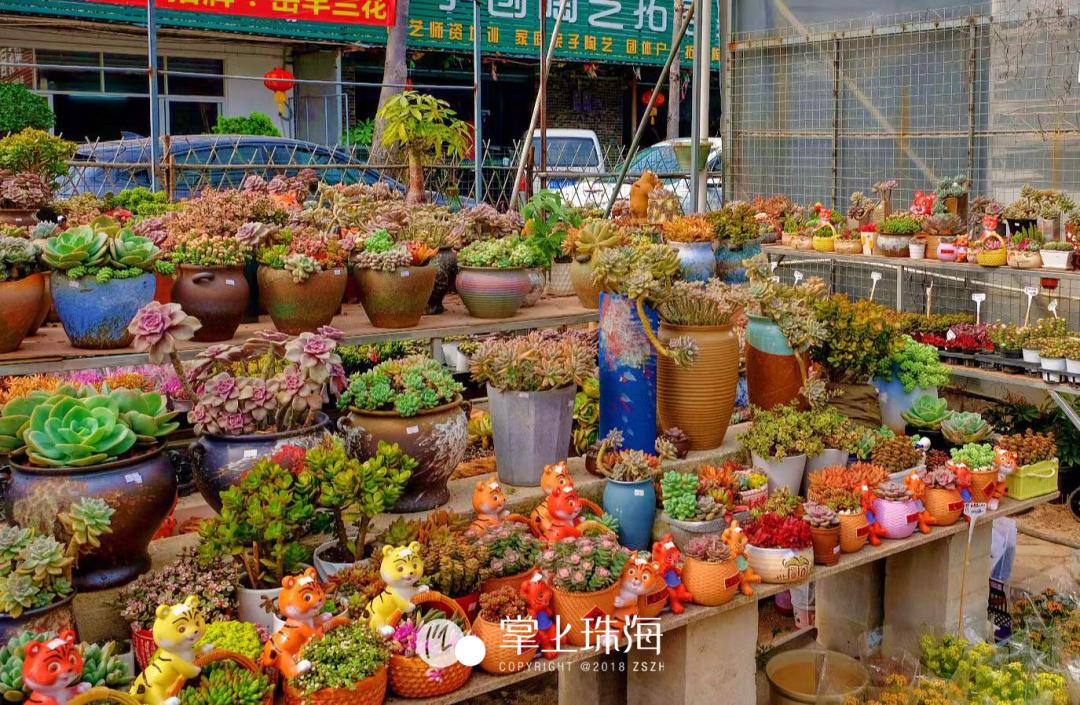 珠海哪个批发市场便宜,珠海有什么大型批发市场吗