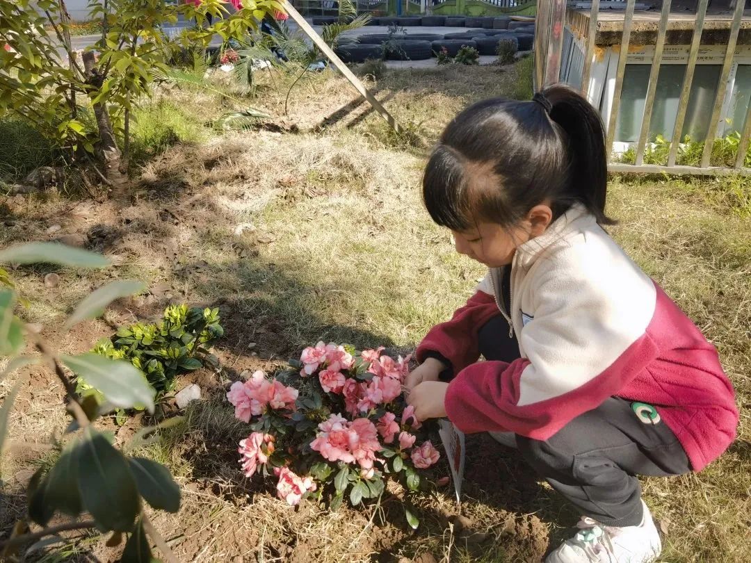 洪雅县第四幼儿园叫什么名字,洪雅第四幼儿园在哪里