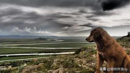 一日一月一个成语,一日一句成语模板