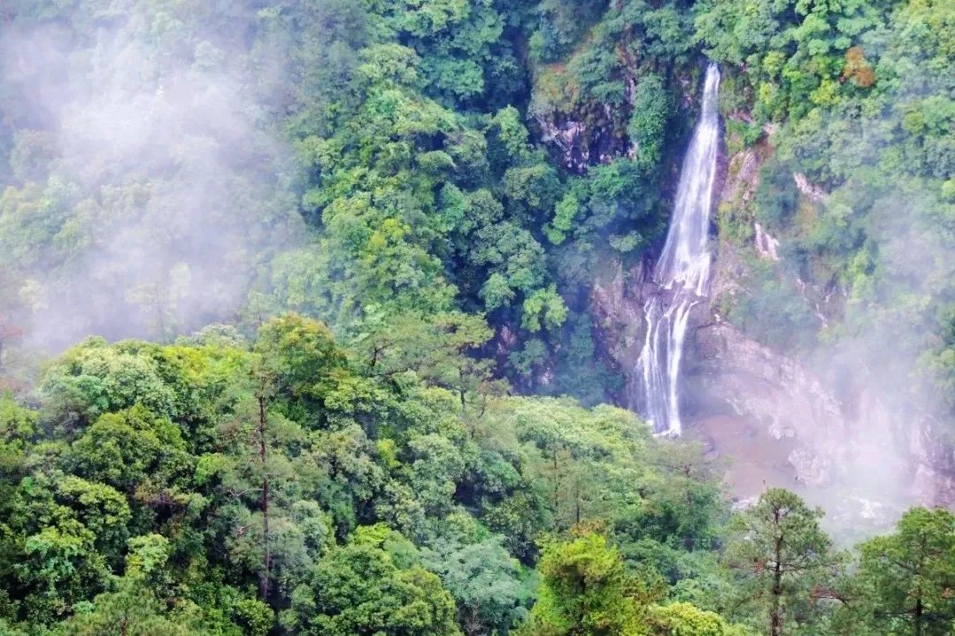 海美、小吃巨好吃！这个神还原游戏世界的小城，不该这样被埋没！