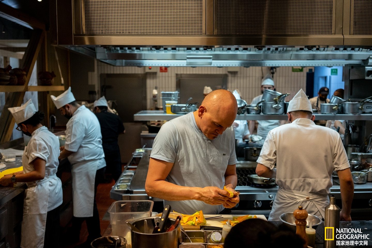 在一个小岛上种地卖菜是什么游戏,在一个岛上种地