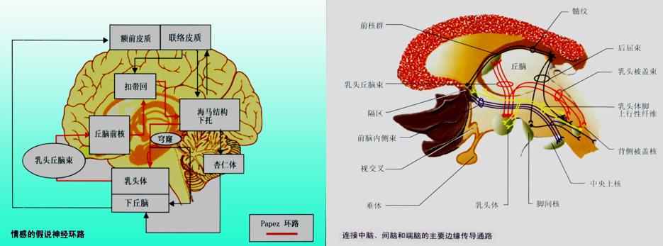 疫情当下,医生教你如何消除焦虑心理
