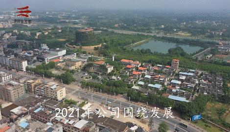 龟益寿龟苓膏测评如何,龟苓膏延龄益寿