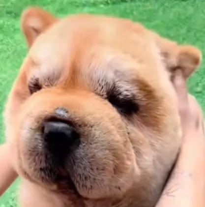 每日单词打卡单词速记,好好学习的一天记录