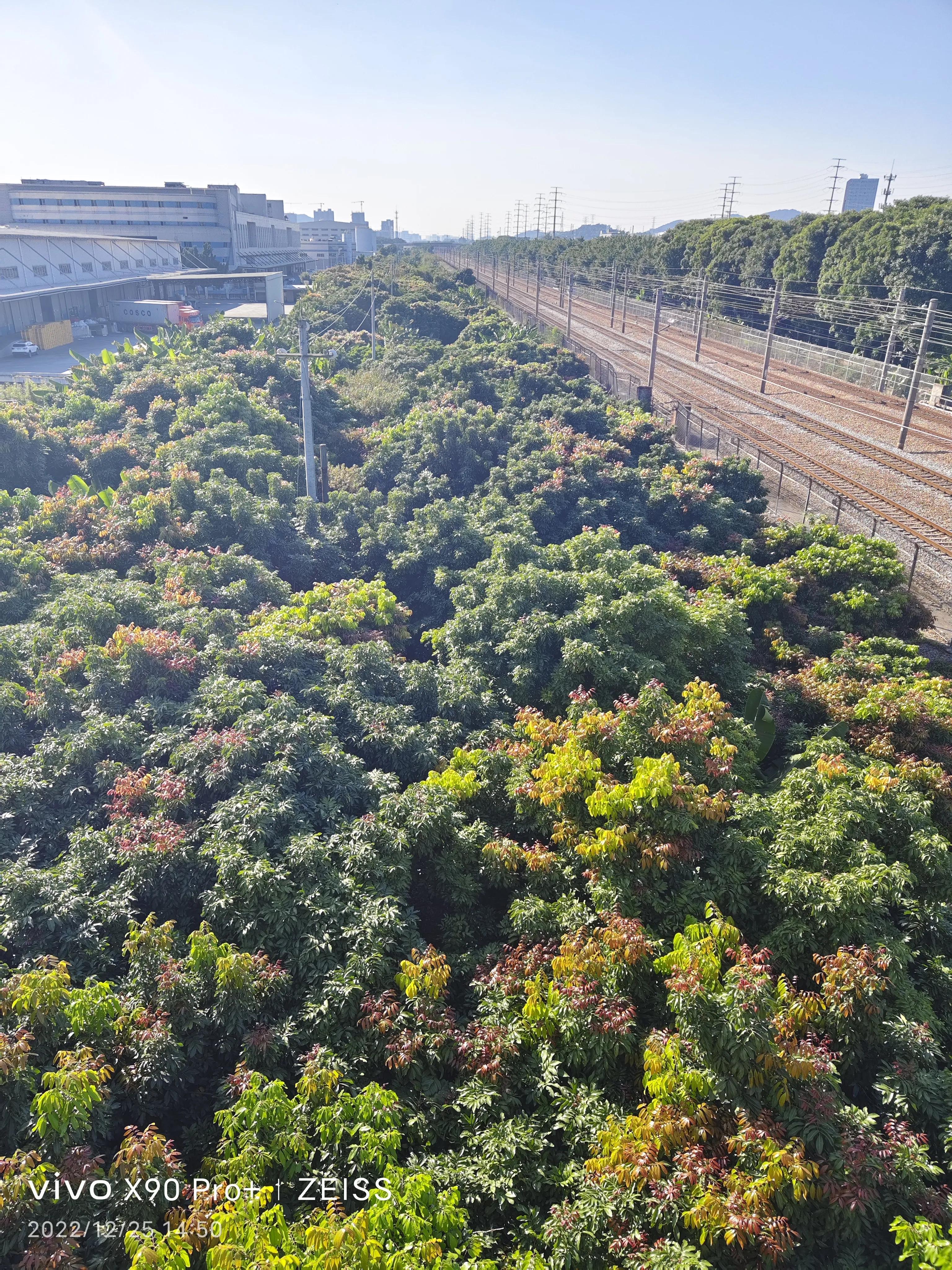 网络流行语汇总,目前最热的网络流行语