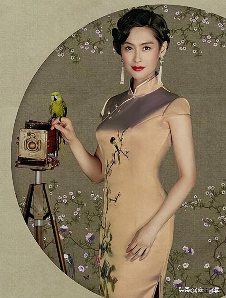 穿旗袍最美的20位女明星,各有千秋,刘诗诗美哭,谁惊艳到了你