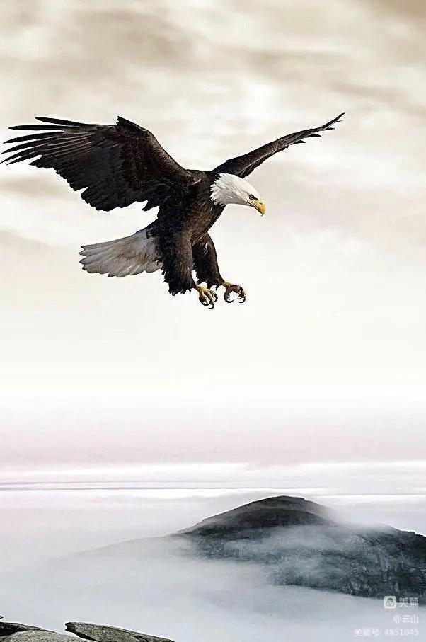 画意风光,画意风光摄影