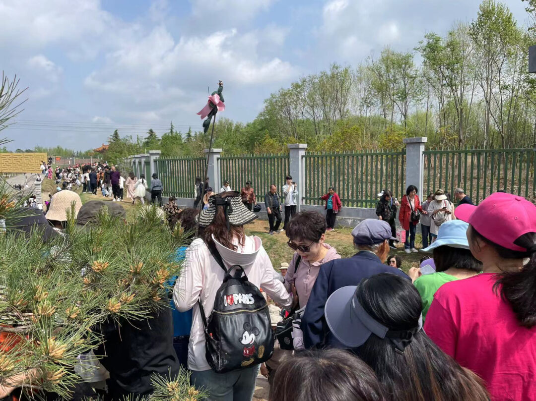 万人爬到白马寺！这样去景区的方式你绝对没见过！