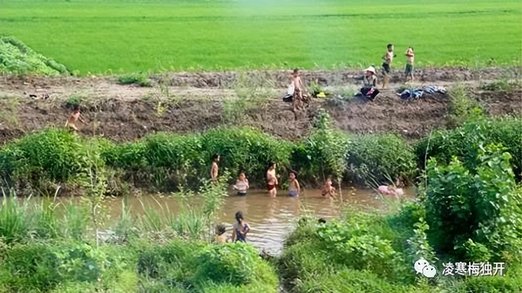 我的奇趣岁月——小学