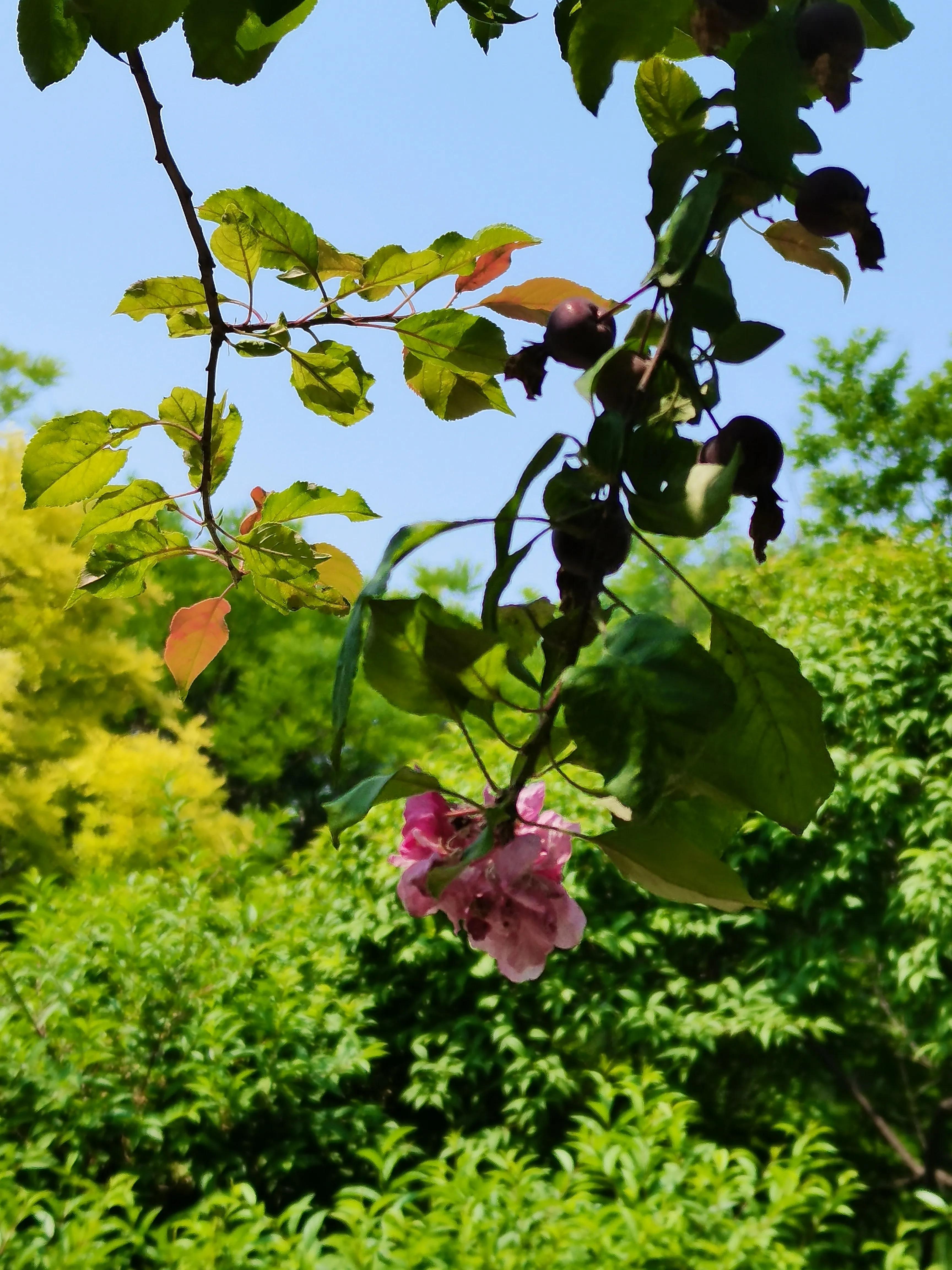生活日记家的味道,生活札记300字