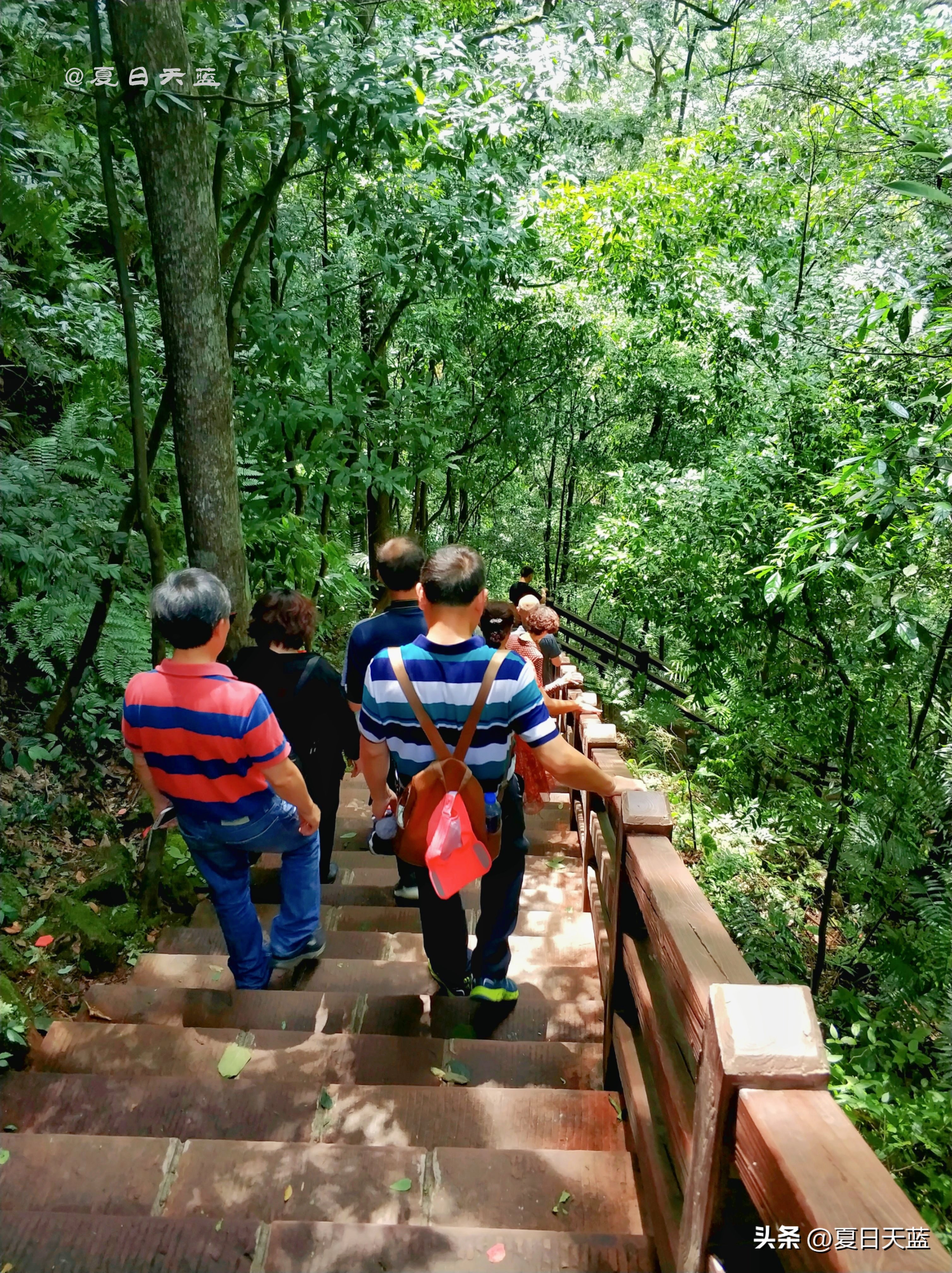 最新贵州赤水旅游攻略图,赤水市丙安古镇怎么游览