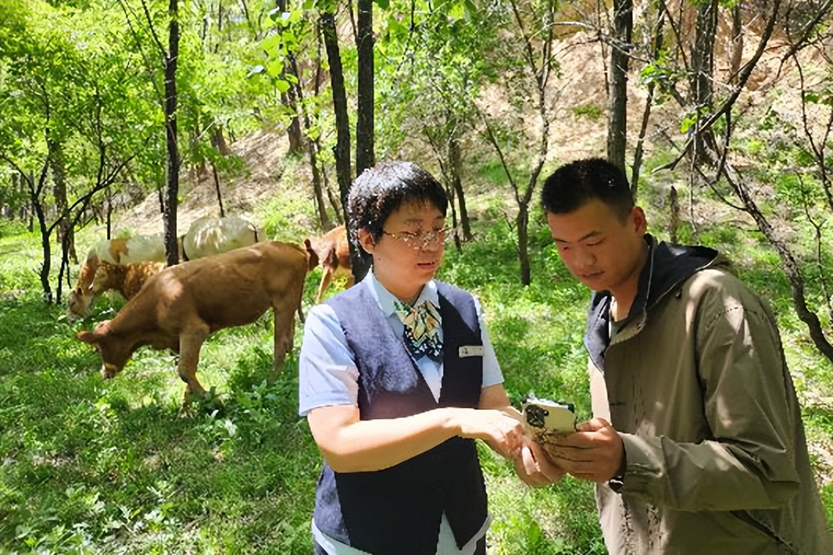 壶关农商银行助农贷款,壶关农商银行贷款