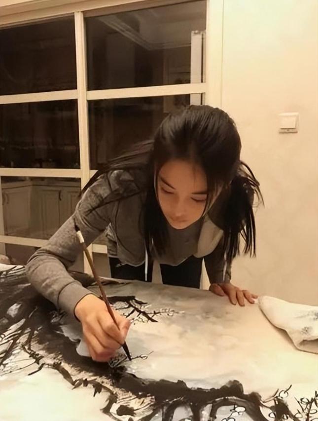 张馨予为何嫁给军人何捷,嫁给军人的张馨予现状