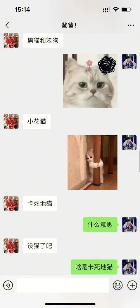 取名鬼才！狗婶子是想把谁笑死啊哈哈哈