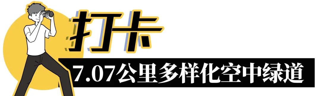 淘金山绿道揽胜,淘金山绿道预约