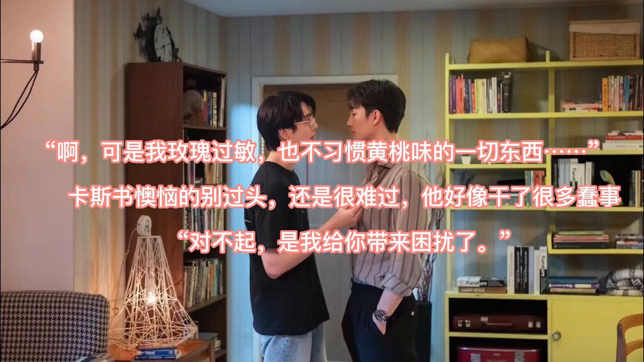 “带着朝露的玫瑰、一张珍藏的cd、缓解感冒的药片