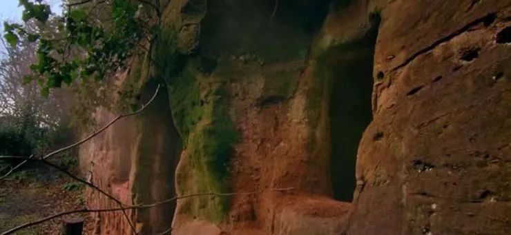 房屋租赁合同,房屋过户给子女新规定