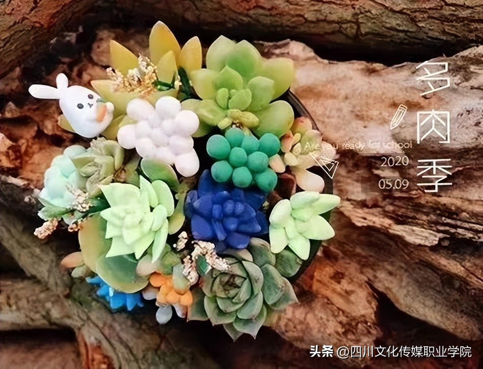 四川文化传媒职业学院是单招吗,四川文化传媒职业学院报名时间表